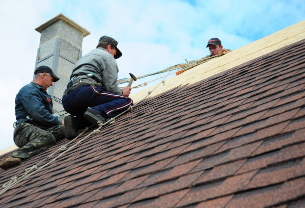 Roof Gutter Cleaning in Lewistown, MT
